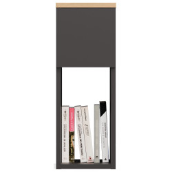 Тумба прикроватная TopEshop Galax 20 1S (AnthraciteArtisan Oak) Thumb