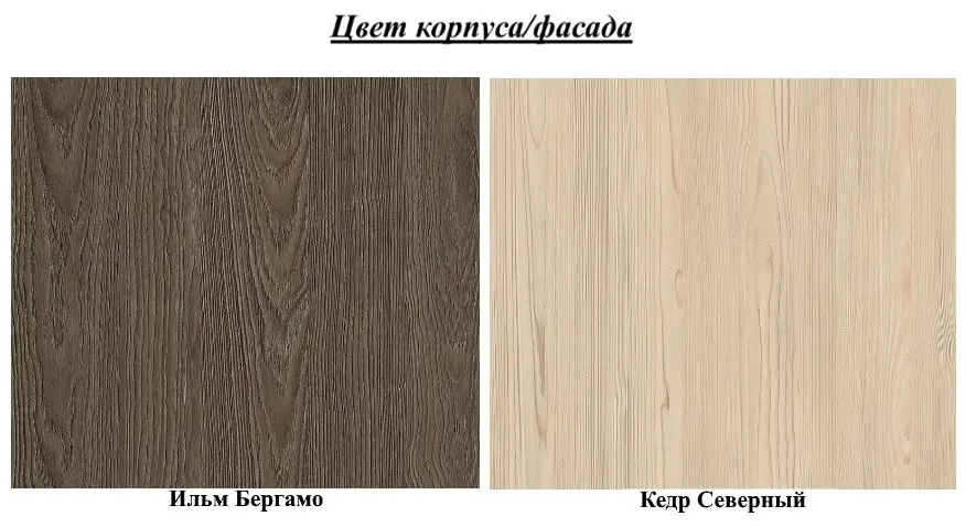 Noptiera Yasen Tenessi PAL (Ilm Bergamo/Cedar Northern)