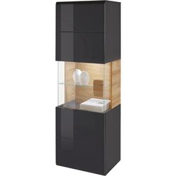 Витрина навесная Helvetia Toledo №07 1D (Anthracite Gloss/Grandson Oak) Thumb