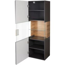 Витрина навесная Helvetia Toledo №07 1D (Anthracite Gloss/Grandson Oak) Thumb