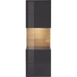 Витрина навесная Helvetia Toledo №07 1D (Anthracite Gloss/Grandson Oak) Thumb