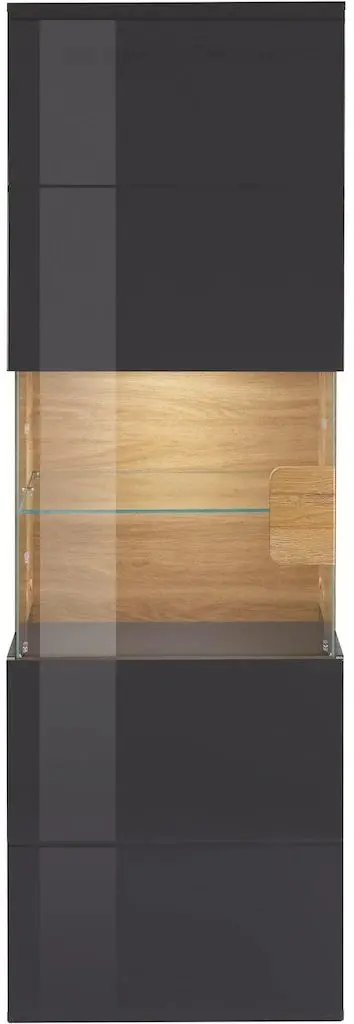 Витрина навесная Helvetia Toledo №07 1D (Anthracite Gloss/Grandson Oak)