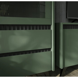 Пенал - Витрина Tempo Kondela Longy REG1W2S (Smoke Green/Black) Thumb