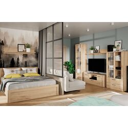 Витрина Tempo Kondela Dorsi 1W2S (Navarra Oak) Thumb