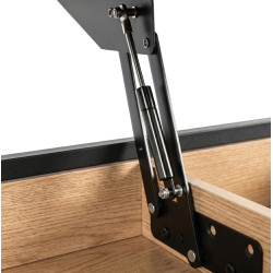 Masa pentru reviste Mebel Elite Luca 100cm (Oak/Black) Thumb