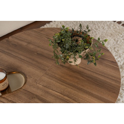 Set masute pentru reviste Mirage Meble Moira (Walnut) Thumb
