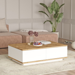 Masa pentru reviste Mirage Meble FR14-AW (Atlantic Pine/White)