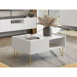 Журнальный столик Mirjan24 Animere AL97/Narine L97 (White Marble/White/Gold)