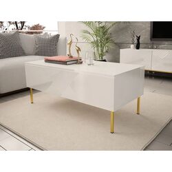 Журнальный столик Mirjan24 Madrielle 120/Exito 120 (White/White Gloss) Thumb