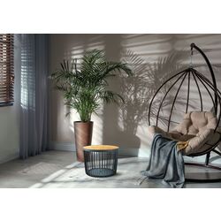 Set mese pentru reviste Prosperplast Clubo (Anthracite) Thumb