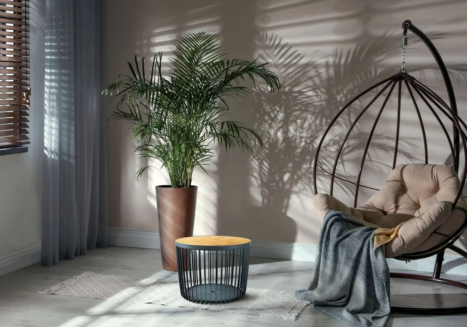 Set mese pentru reviste Prosperplast Clubo (Anthracite) - 4