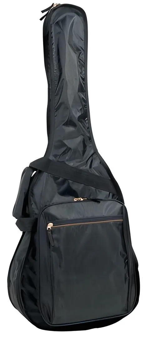 Husa pentru chitara Proel BAG110PN (Black)