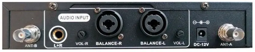 Sistem radio DNA Professional In-Ear Double (Black)