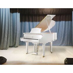 Pian cu coadă Ritmuller RS160 (A112) (White) Thumb