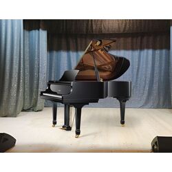 Pian cu coadă Ritmuller RS183 (A111) (Black) Thumb