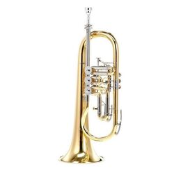 Флюгельгорн B&S 17/2TR-L (Gold) Thumb