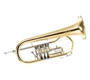 Флюгельгорн B&S 17/2TR-L (Gold)