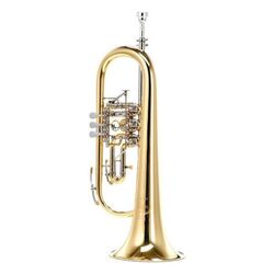 Флюгельгорн B&S 17/2TR-L (Gold) Thumb