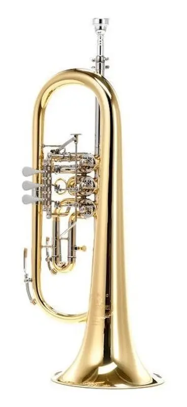 Флюгельгорн B&S 17/2TR-L (Gold)