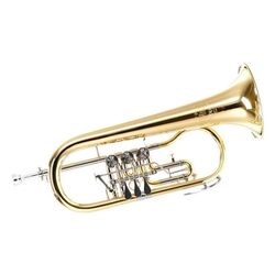 Fligorn B&S 17/2TR-L (Gold)