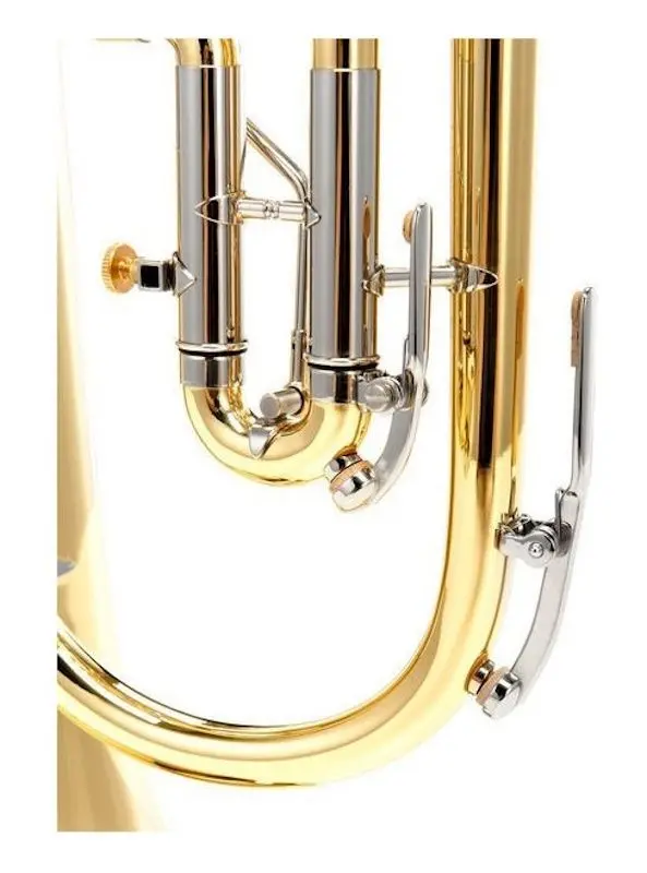 Флюгельгорн B&S 17/2TR-L (Gold)