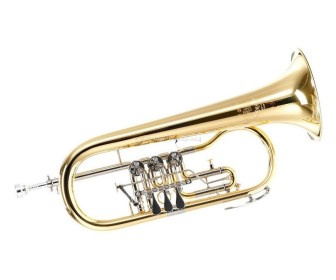 Флюгельгорн B&S 17/2TR-L (Gold)