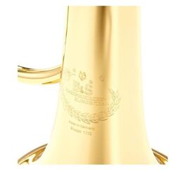 Флюгельгорн B&S 17/2TR-L (Gold) Thumb
