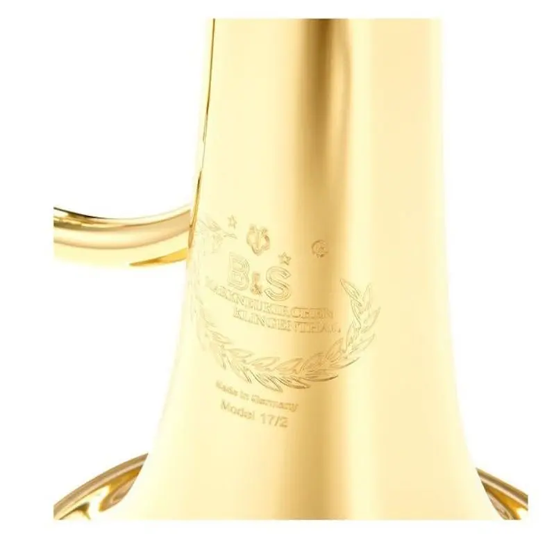 Флюгельгорн B&S 17/2TR-L (Gold)
