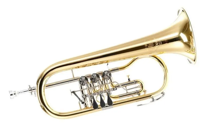 Флюгельгорн B&S 17/2TR-L (Gold)