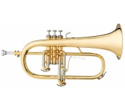 Флюгельгорн B&S Challenger I 3145G-L (Gold)