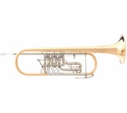 Trompeta B&S 3005/3TR (Gold)