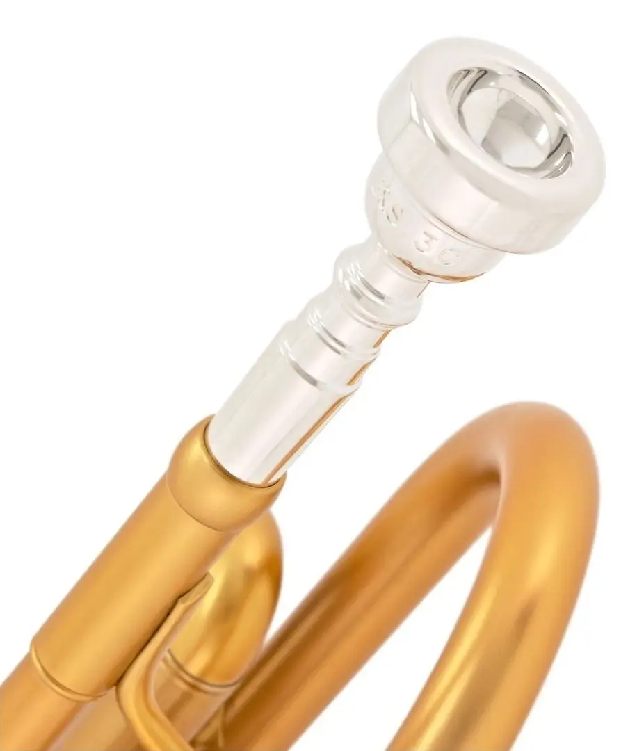 Труба B&S MBX3 Heritage BSMBXHLR-8M-0D (Brushed Gold)