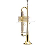 Trompeta B&S Prodige BS210-1-0 (Gold)