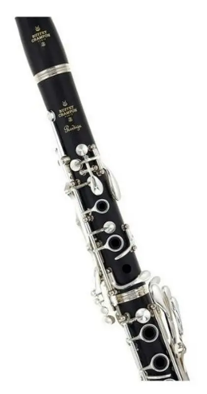 Кларнет Buffet Crampon Prodige BC2541-2-0GB (Black)