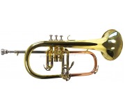 Флюгельгорн Flame Pro FG 8612 G (Gold)