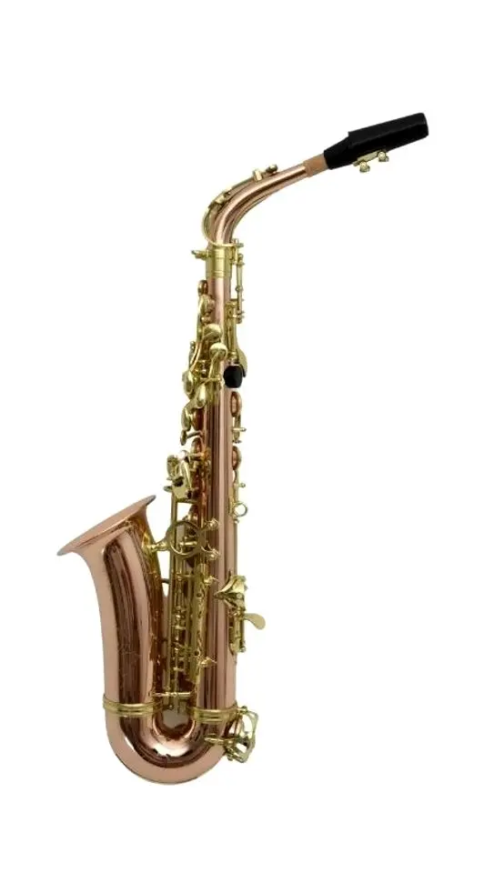 Саксофон Flame Pro JYAS-1102 PC (Gold)