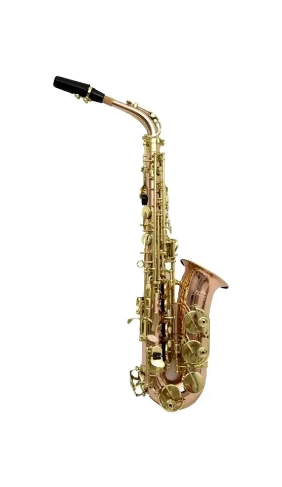 Саксофон Flame Pro JYAS-1102 PC (Gold)