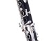 Clarinet Jupiter JCL1100DS (Black/Silver)