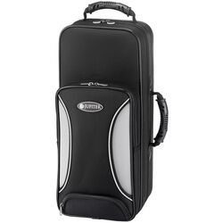 Труба Jupiter JTR-1110 RQ (Gold/Silver) Thumb