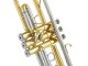 Trompeta Jupiter JTR701Q (Gold/Silver)