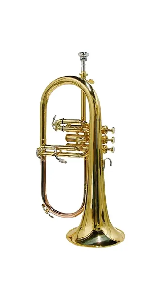 Флюгельгорн Parrot JBFH 1100L (Gold)