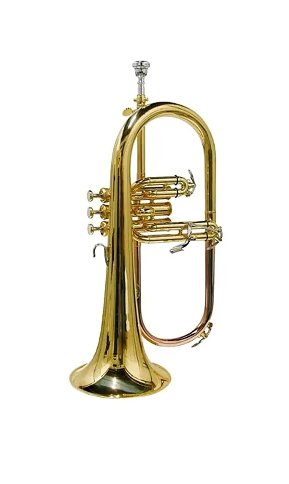 Флюгельгорн Parrot JBFH 1100L (Gold)