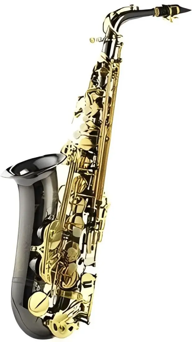 Саксофон Parrot 6430 BN (Gold/Black)