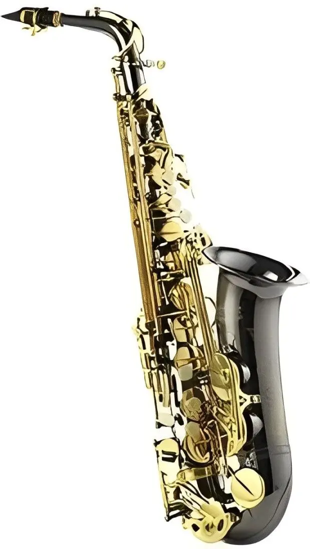 Саксофон Parrot 6430 BN (Gold/Black)