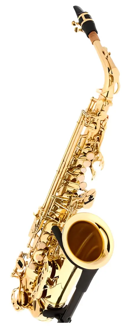 Saxofon Parrot 6430 L