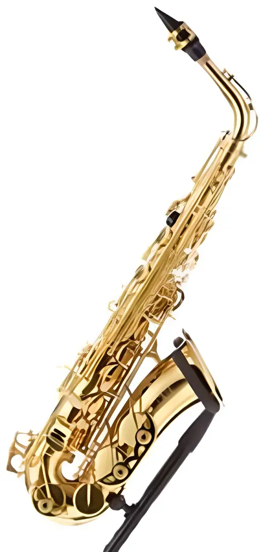 Saxofon Parrot 6430 L