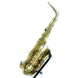 Saxofon Parrot 6430L Set Thumb
