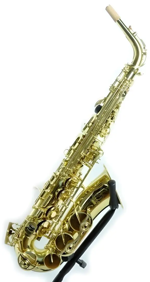 Saxofon Parrot 6430L Set