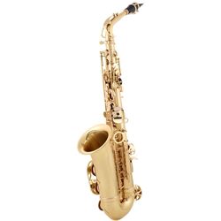 Saxofon Parrot 6430L Set