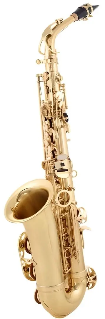 Saxofon Parrot 6430L Set